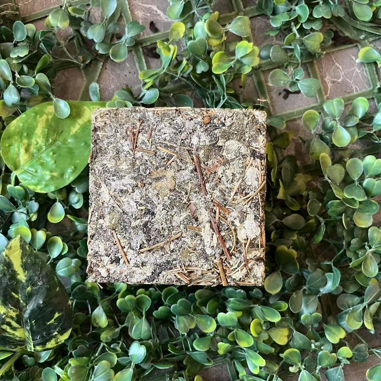 雨腾妹夫  菩提六叶L茶 N铂J“N 圣P”全T+200g/砖（6月22）