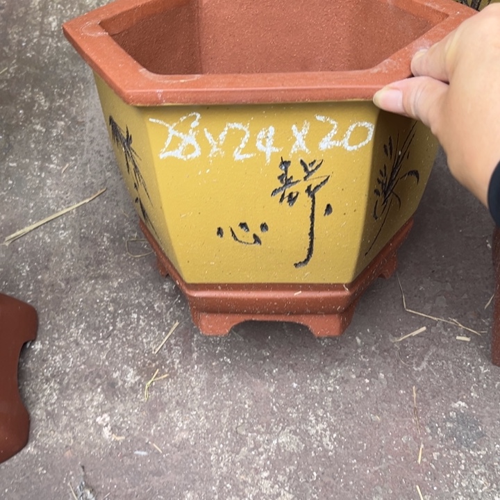 紫砂花盆紫砂之盆