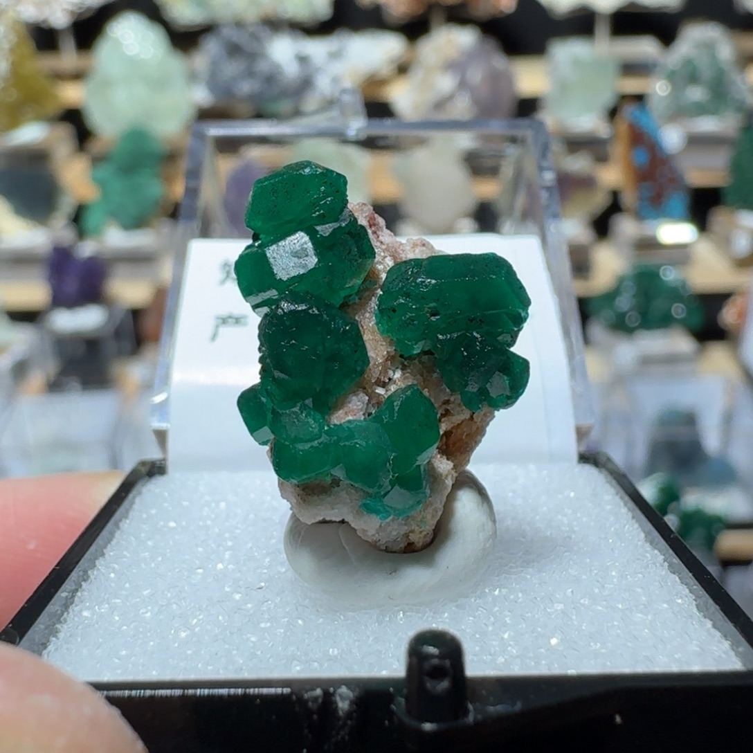 石材1号刚果一物一拍