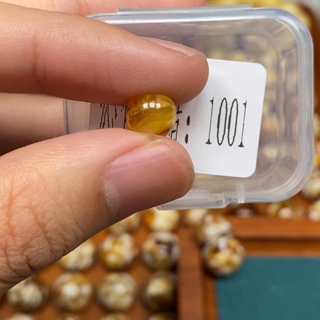 沁色蜜蜡未镶嵌1001