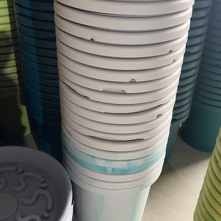 缺口5#口径29灰白5个无托