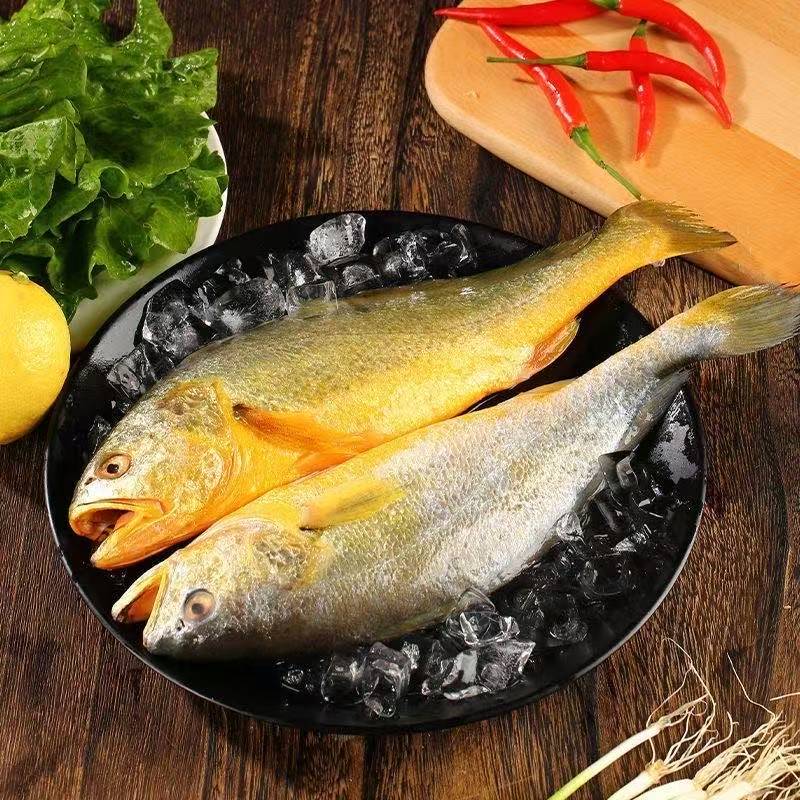 (10条)海黄鱼 肉质鲜嫩 蒜瓣肉 码头直发5两左右1条到手10条83伟