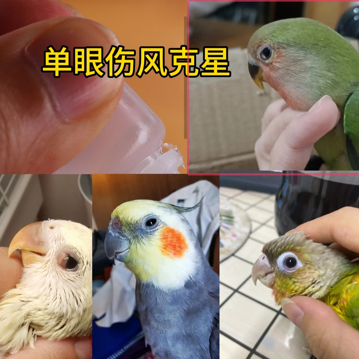 单眼伤风克星自配眼药瓶