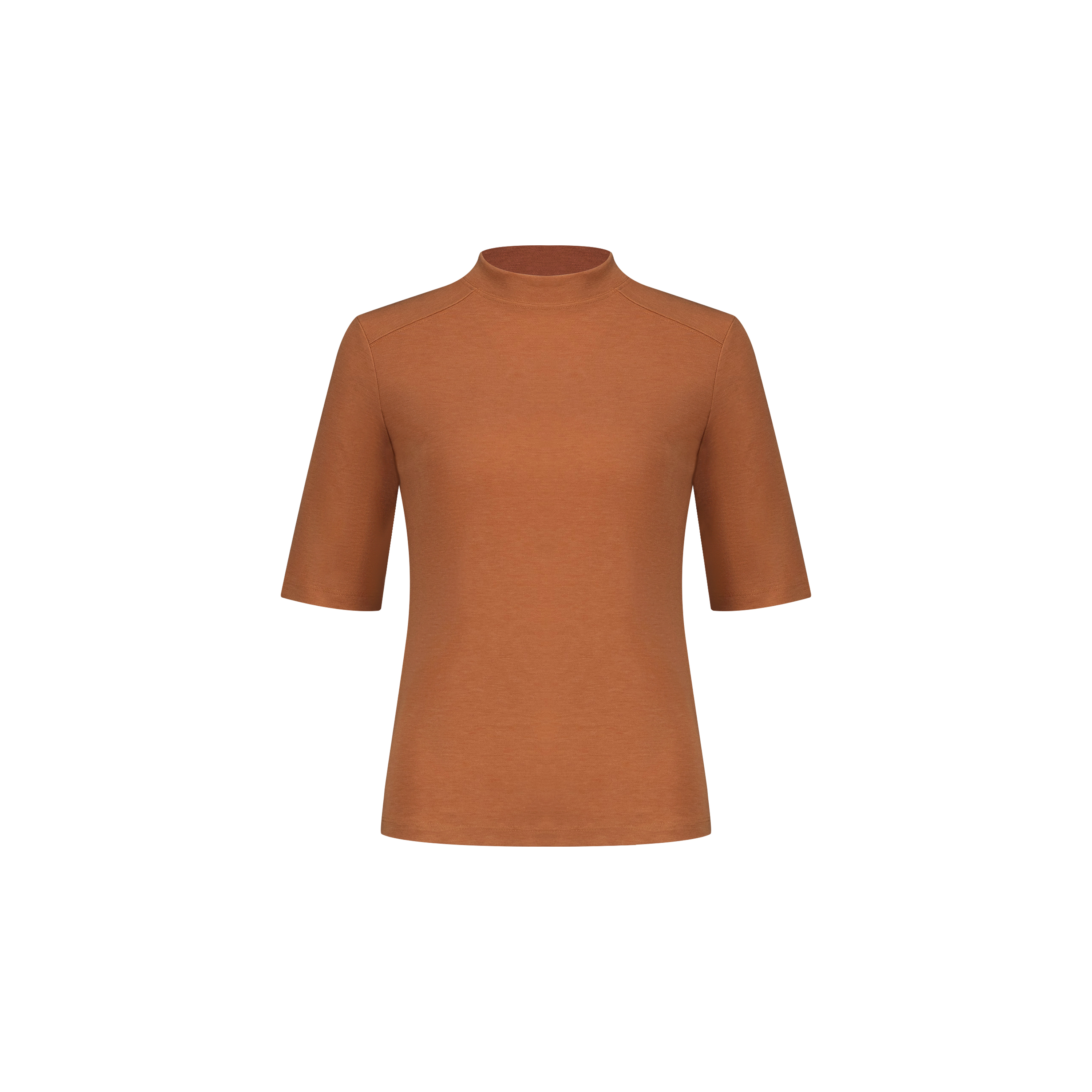 【莫代尔羊绒蛋白水膜T】高级感半高领松弛感柔软羊毛W24AA1013