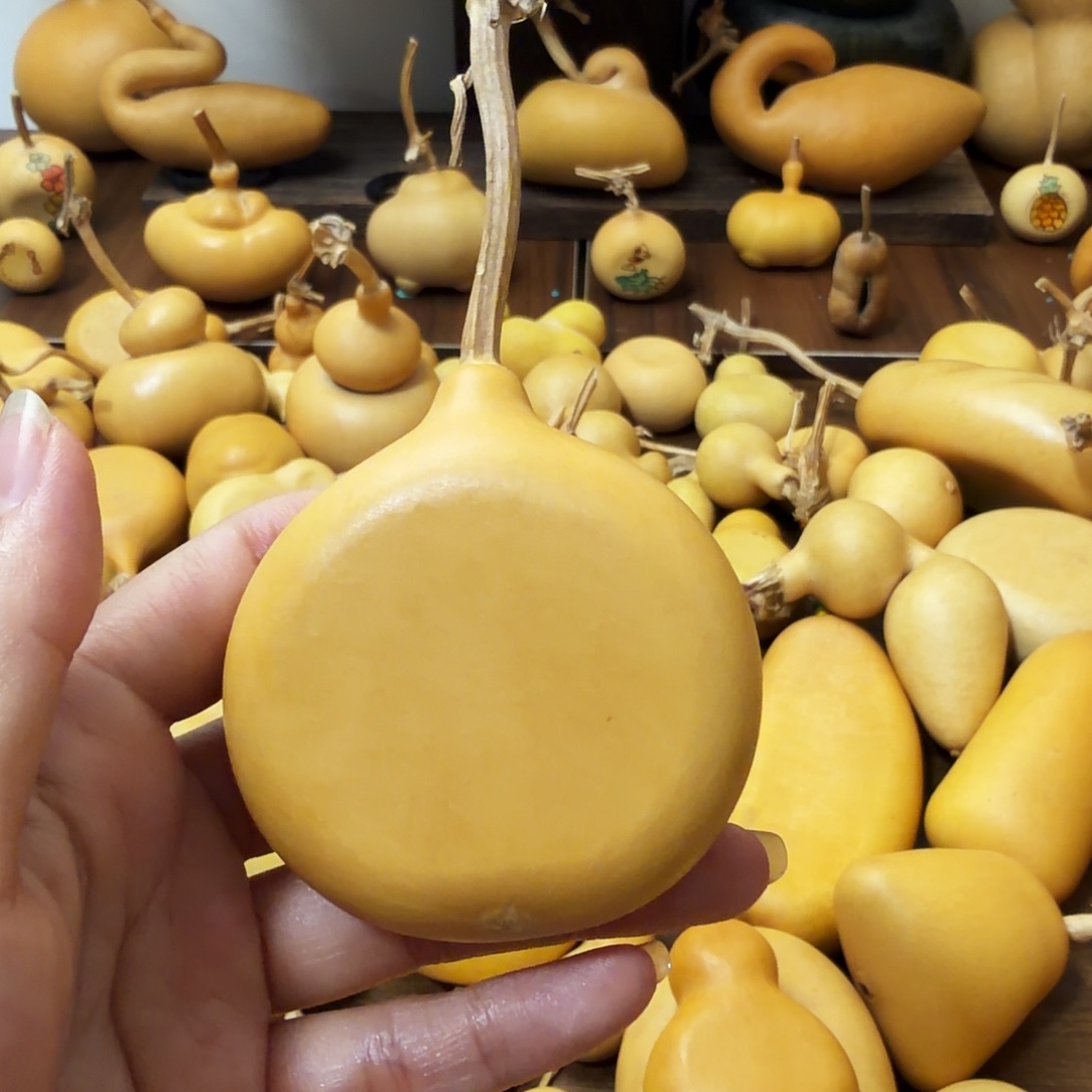 六***主纯天然的真葫芦 5