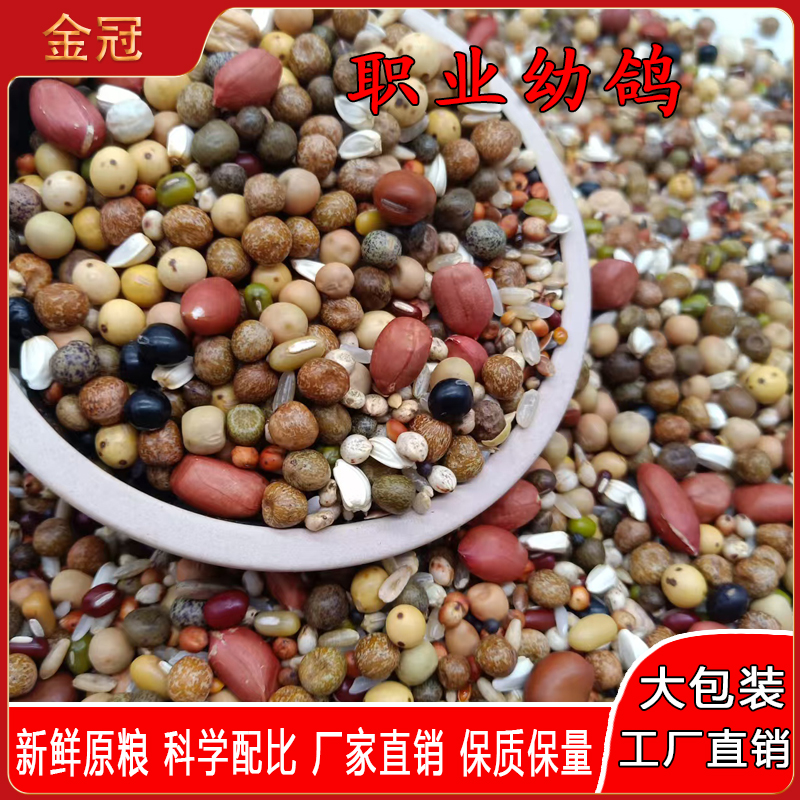 金冠鸽粮职业幼鸽大包装48斤装赛鸽信鸽观赏鸽饲料