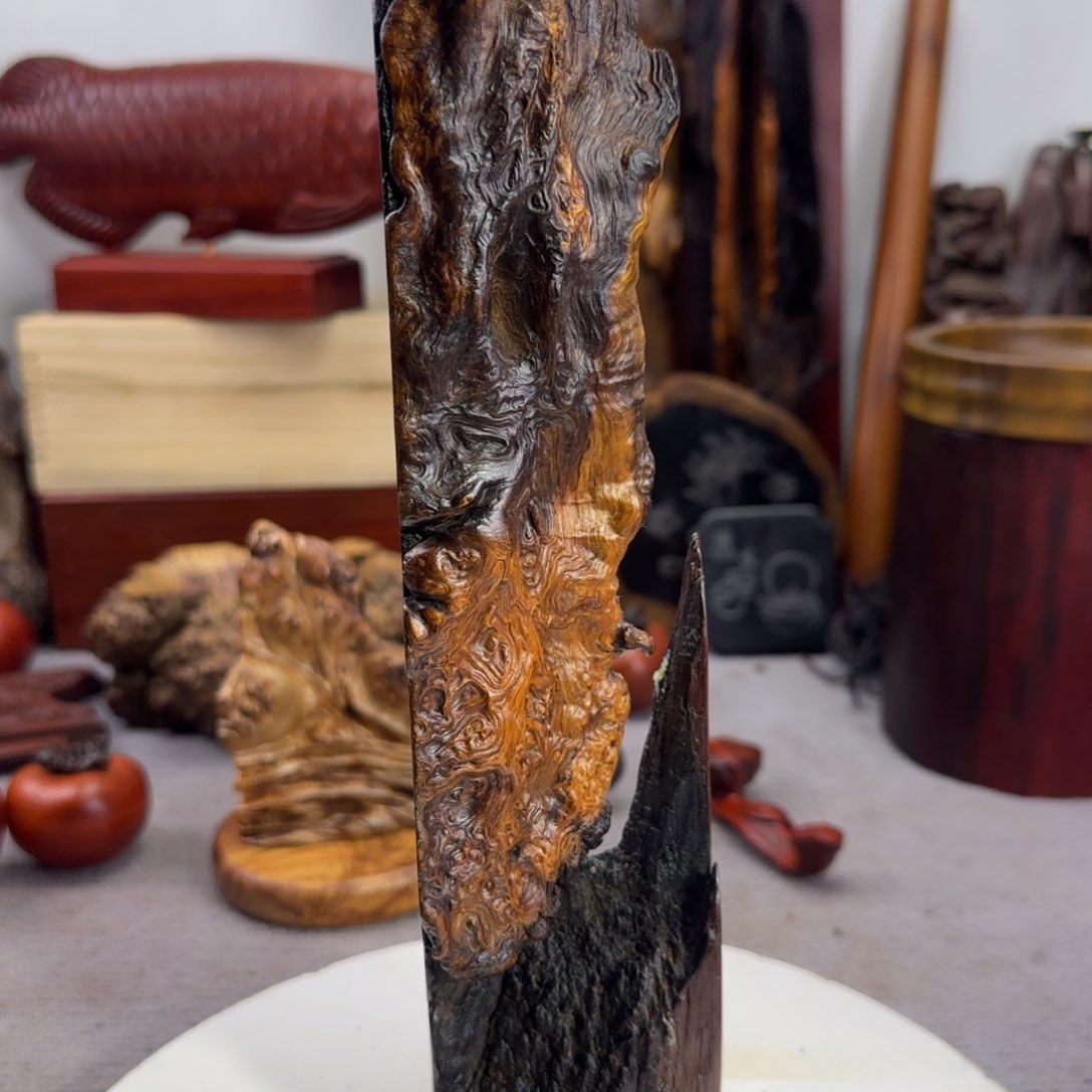 大果紫檀（缅甸花梨）秋*⋯