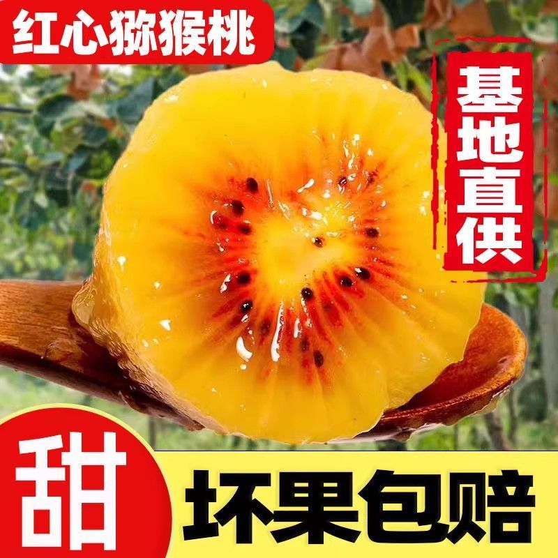 红心猕猴桃礼盒装送礼佳品