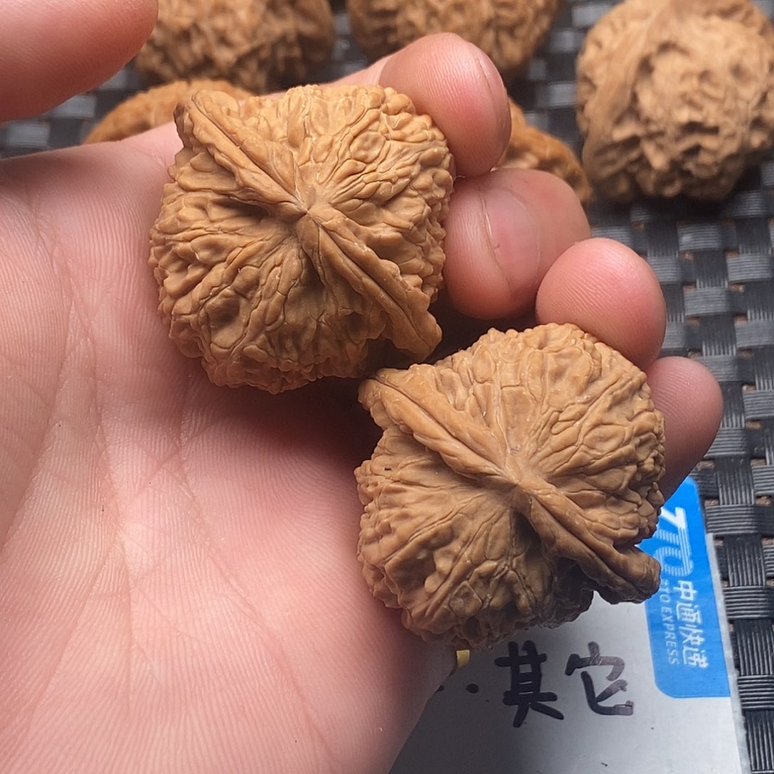 核桃手串/手链雾*40白狮子全品