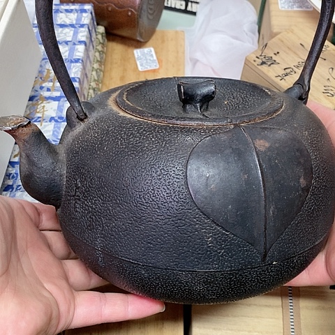 紫砂哈哈哈哈哈哈哈哈