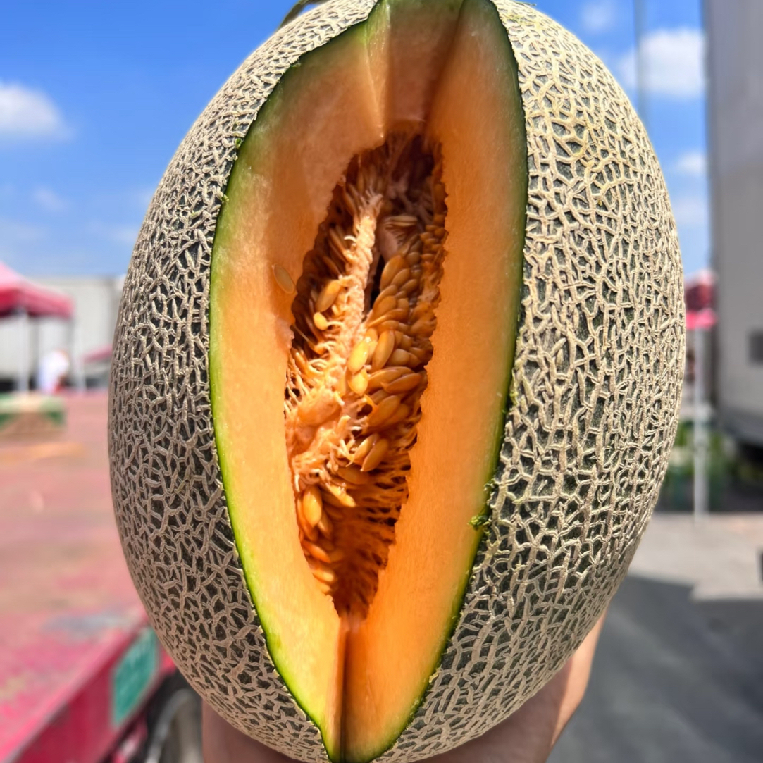西州蜜蜜瓜1个1000g左右