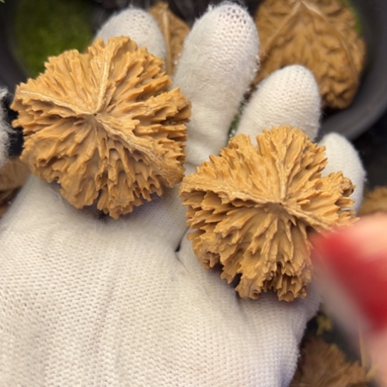 用***7文玩核桃吊坠秦岭核桃23