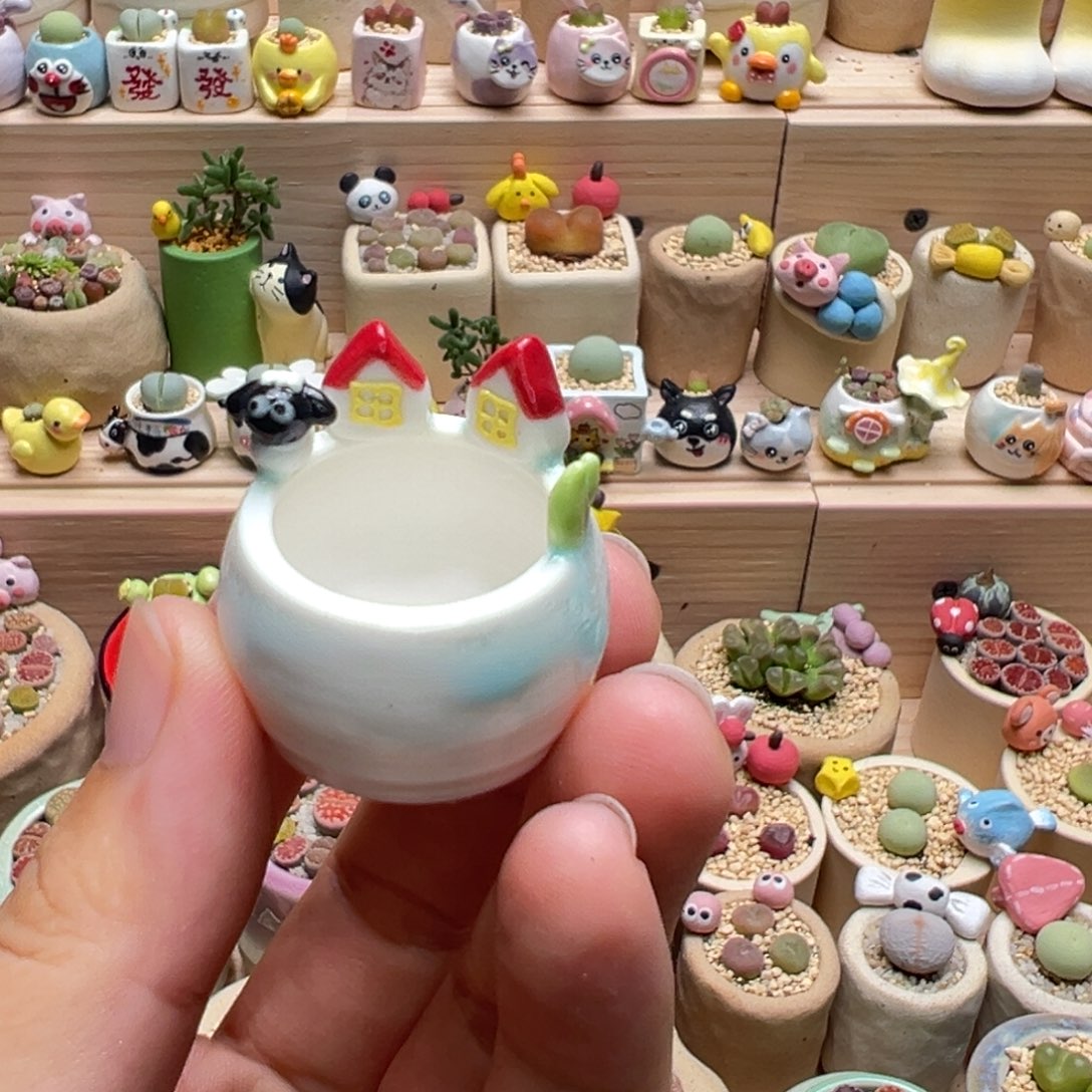 小****多肉植物121号单独盆