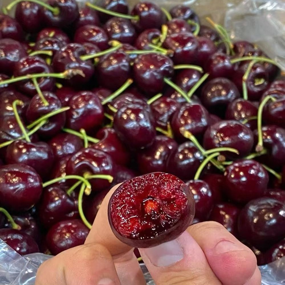 车厘子净重3JD智力空运g智利智利