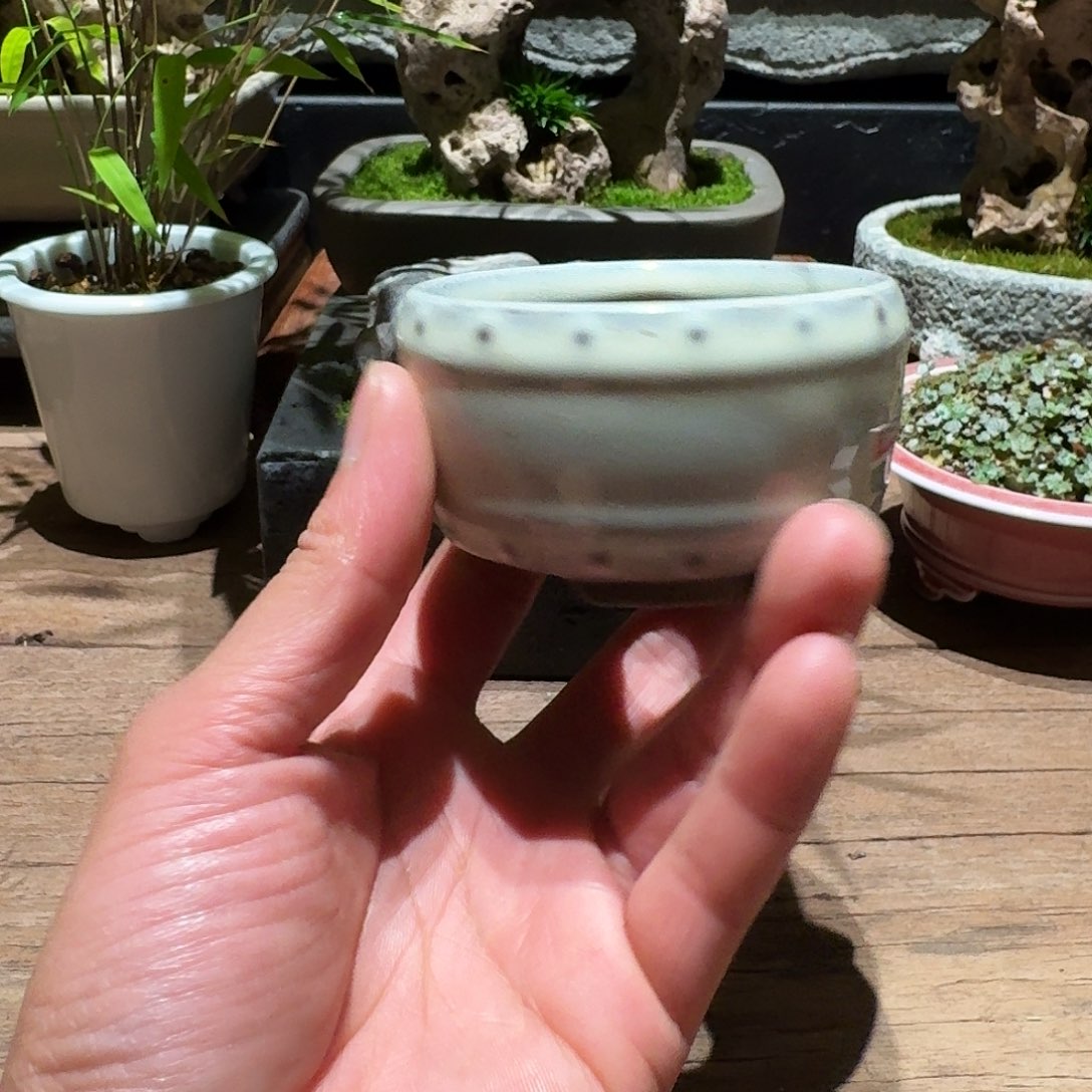 红陶大**醒小圆盆