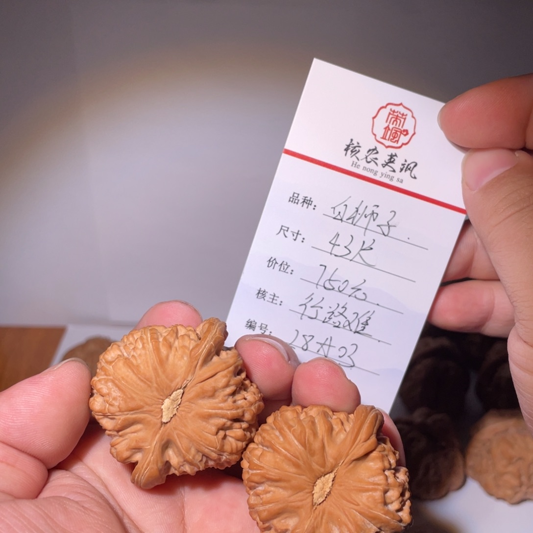 行***难文玩核桃吊坠28A03白狮子