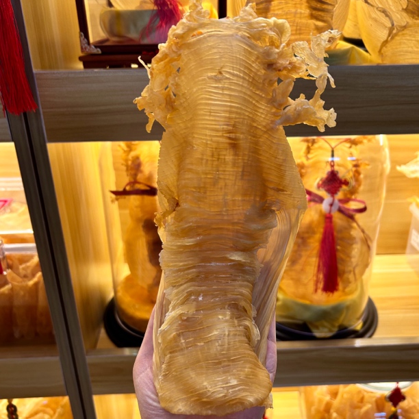 4两横直胶 一个200g以上