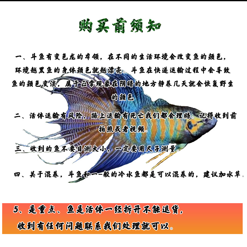 2号直播间精品链接（中国斗鱼直播专用链接）下单前联系客服