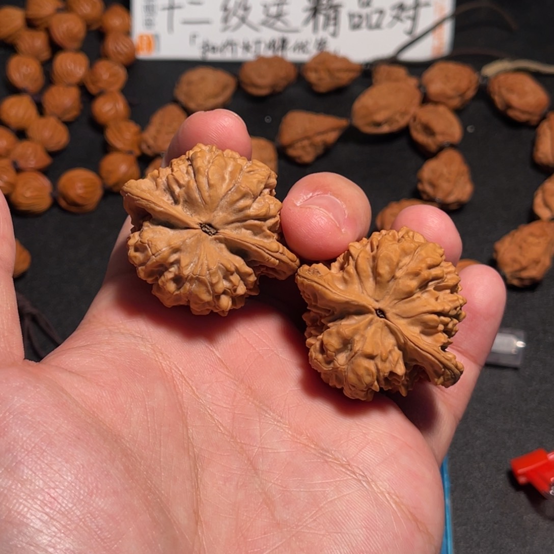 40全品红皮小官帽