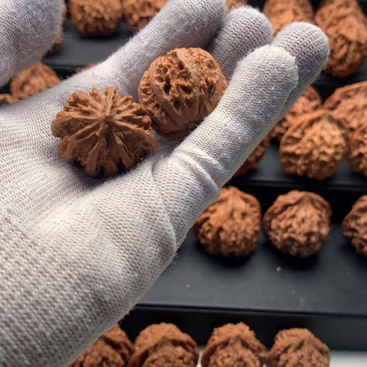 其他核桃秦岭山脉和青云