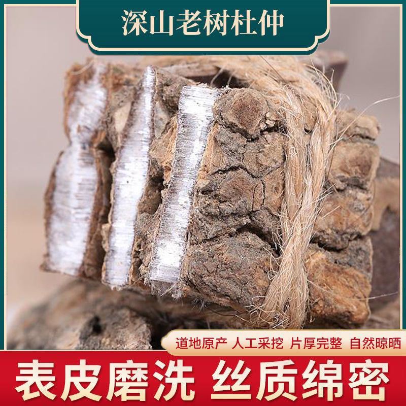 【老树杜仲】试喝十天 限拍5单 深山老树杜仲 可煲汤泡茶泡酒的山货