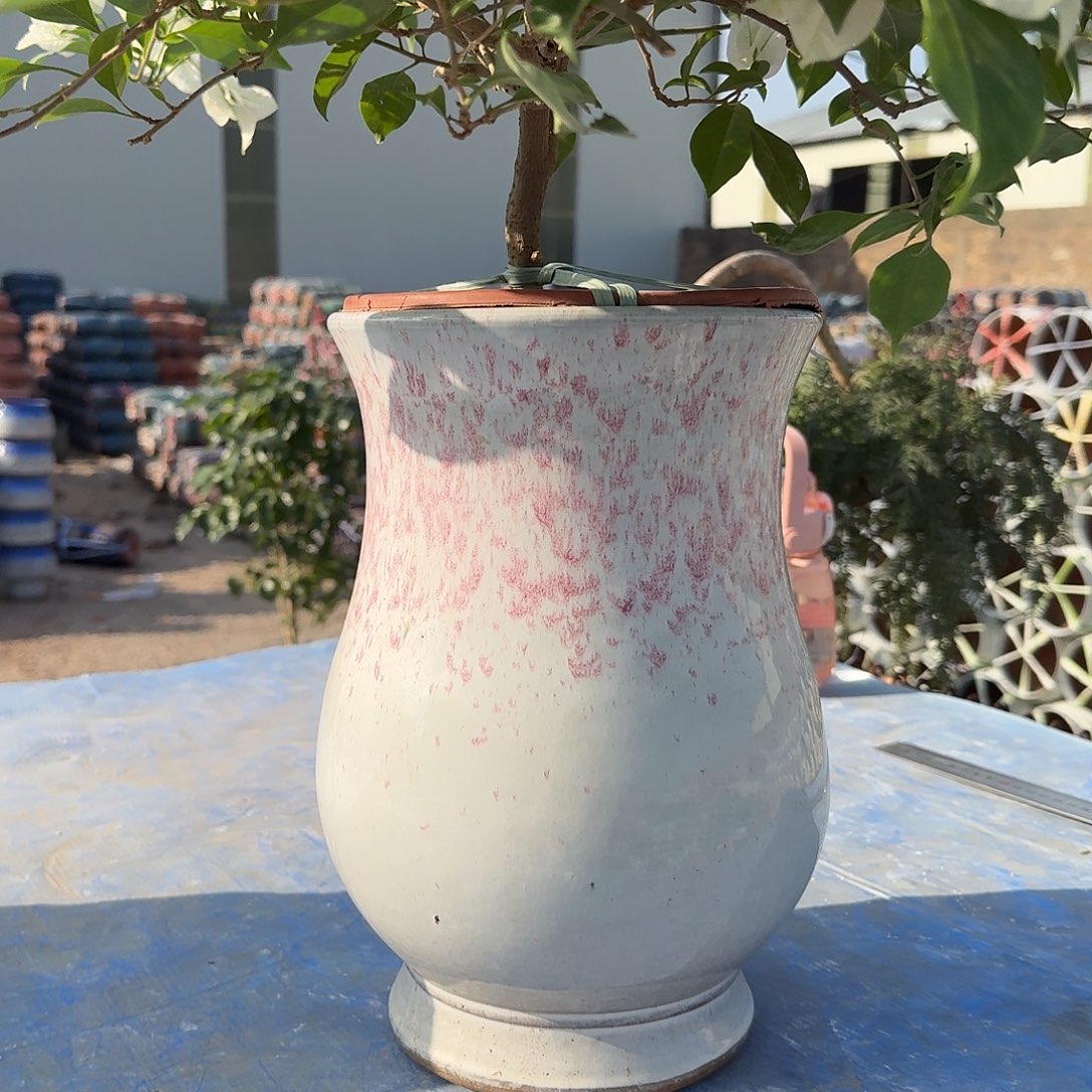 口径20高度30正品de