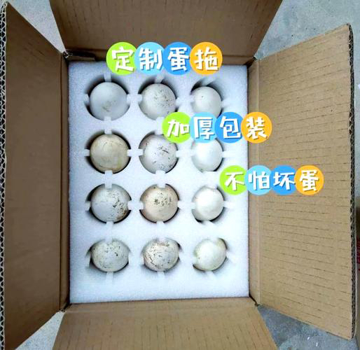 四川农家散养生态鹅蛋新鲜谷物喂养孕妇营养佳品