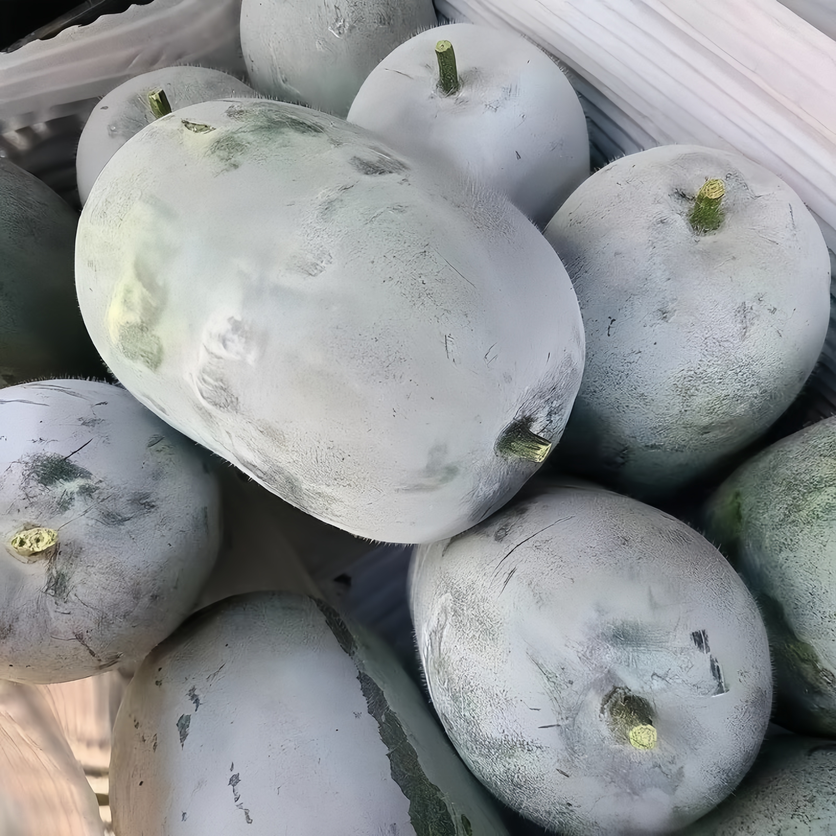 河南小个新鲜农家自种水果冬瓜蔬菜迷你香小冬瓜清香产地当季东瓜