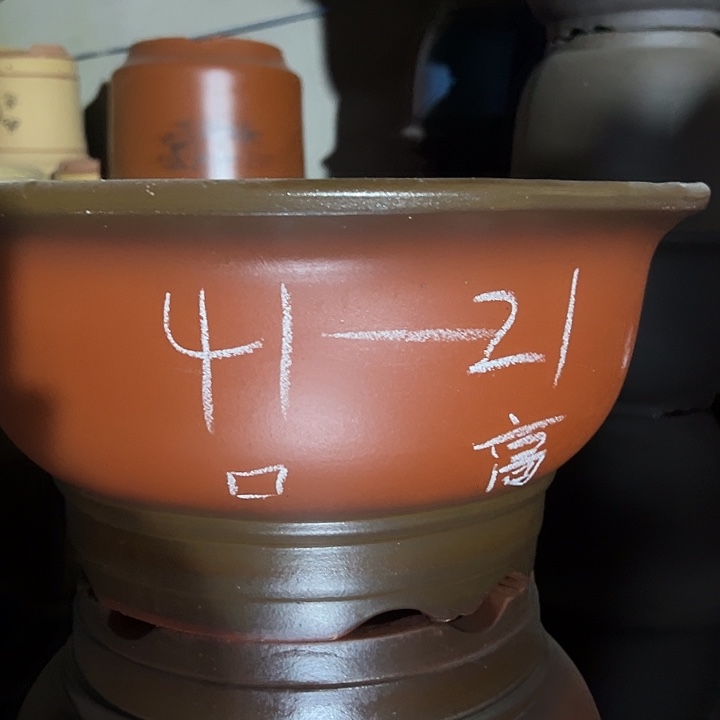 周三周四再说再说啧啧啧啧 