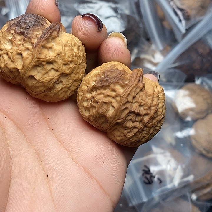 把件文玩核桃61号39mm