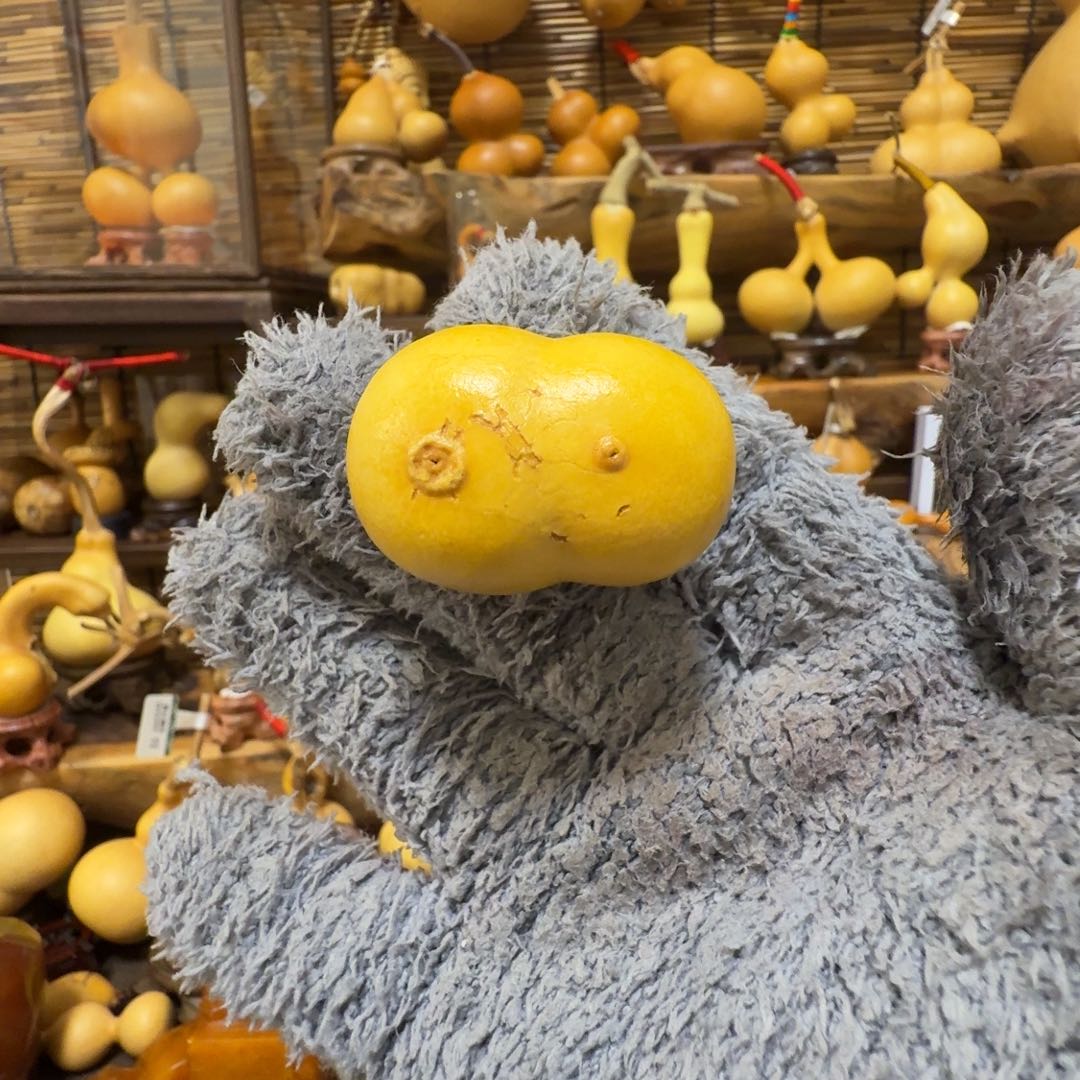 天裂葫芦闪拍链接