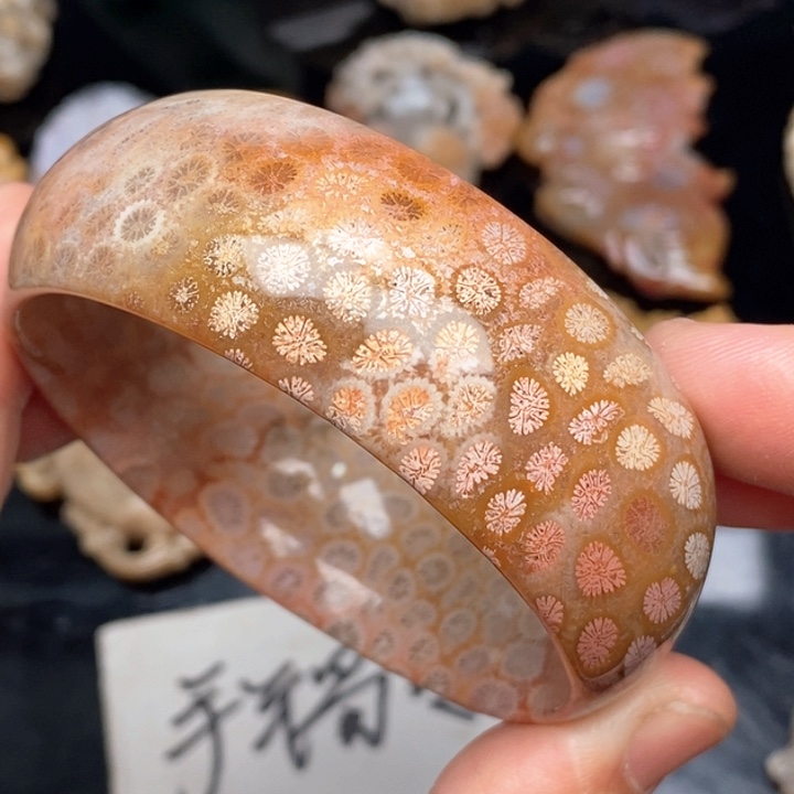 硅化珊瑚（珊瑚玉）手镯未镶嵌55.6