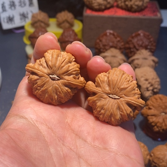 把件文玩核桃文玩白狮子37尺004