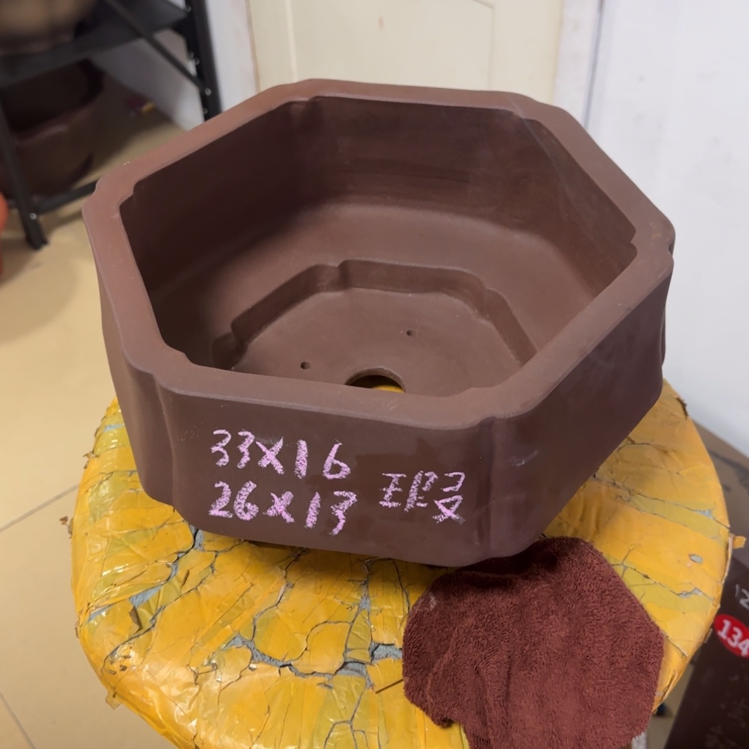 紫砂花盆我呜呜呜呜呜