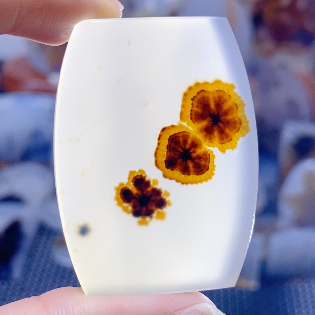 玛瑙/玉髓未镶嵌珠宝奇石