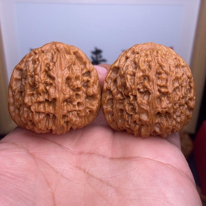 核桃小尺寸南疆石