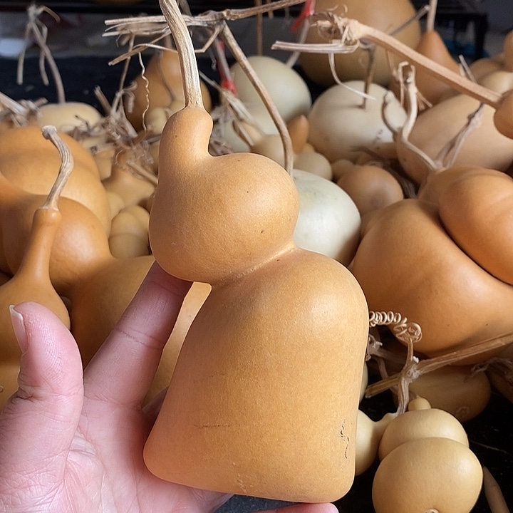 如****L葫芦的颜色很好看啊