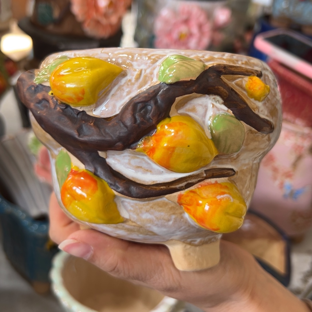 花盆，满20米发货，爱退款拉黑