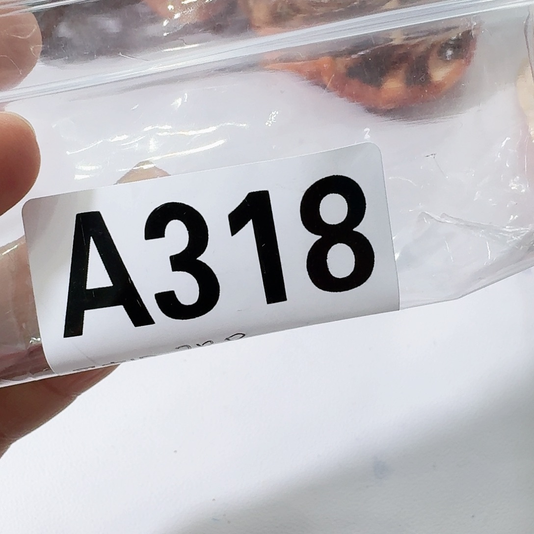 318 感谢分享感谢分享