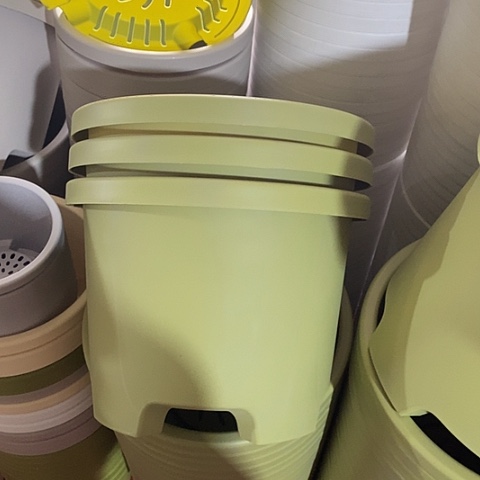 树脂球根32口径5个带托果绿