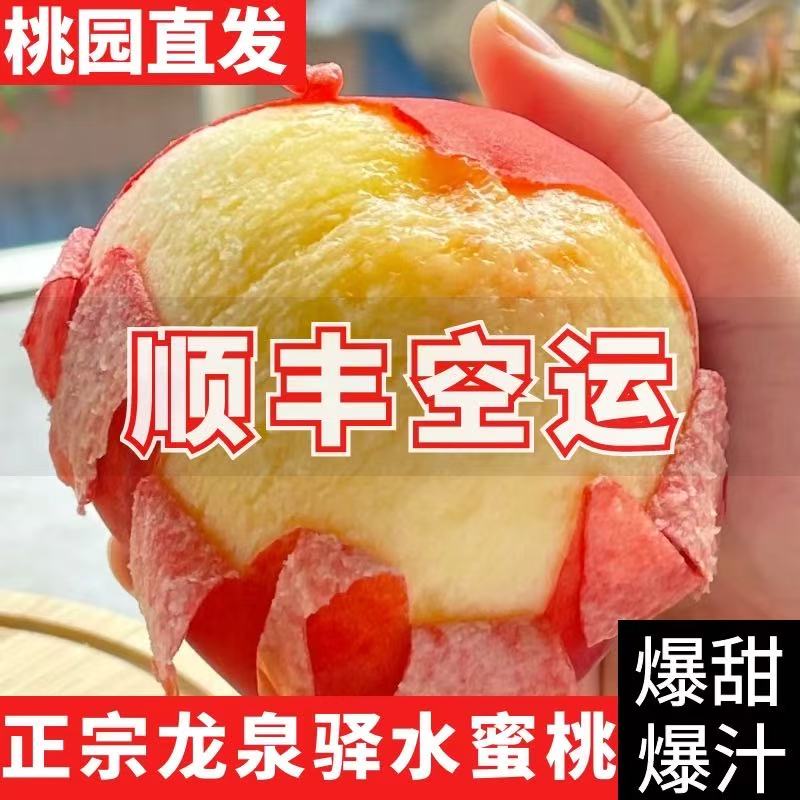 老【4斤 巨无霸】四川龙泉水蜜桃 新鲜现摘 脆甜多汁 坏果包赔 4斤当季新鲜水果桃子四川省