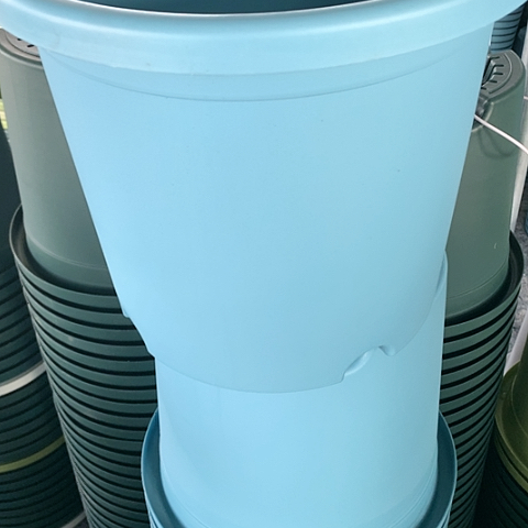 红陶5加天蓝无托3个