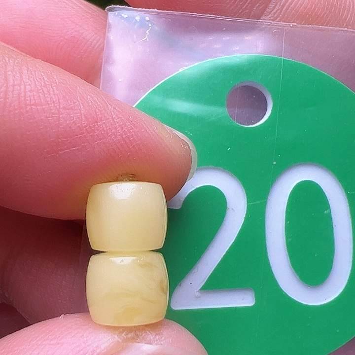 蜜蜡裸石未镶嵌7.2m m