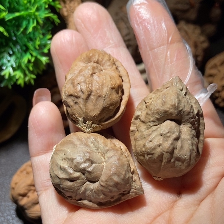 把件文玩核桃东北楸子小雪8