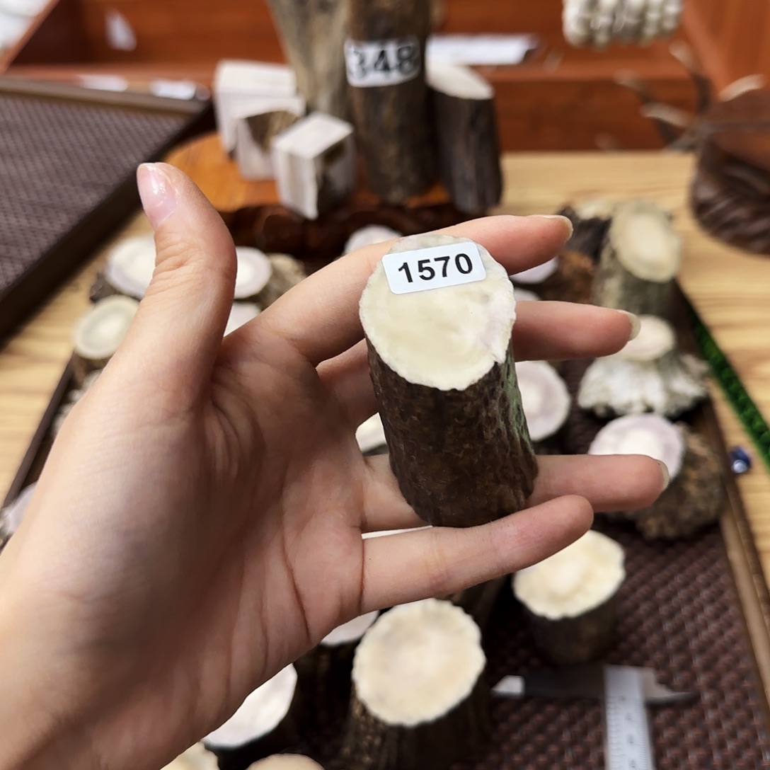 鹿骨手串/手链1570根段