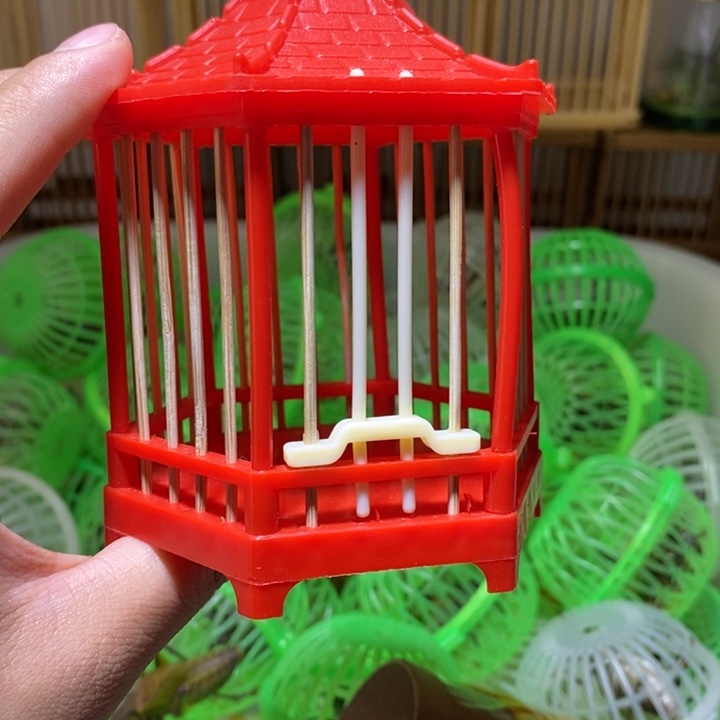 六角笼子一个 颜色随机