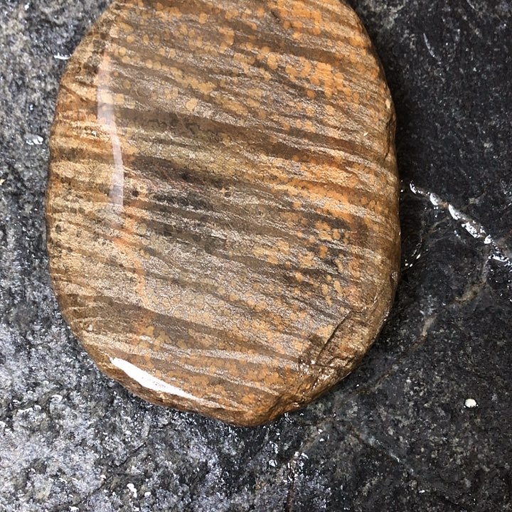 爱***丞歙砚龙尾砚文房四宝