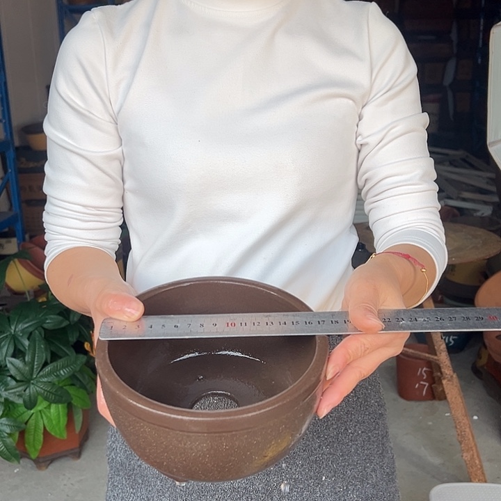 绿萝拉毛小花盆花盆花盆