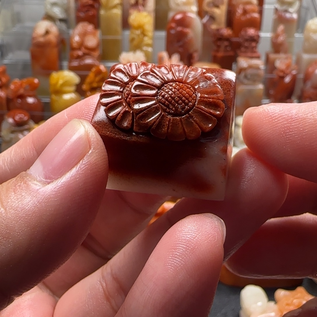 老挝石向日葵 1.7×2.6×2.2