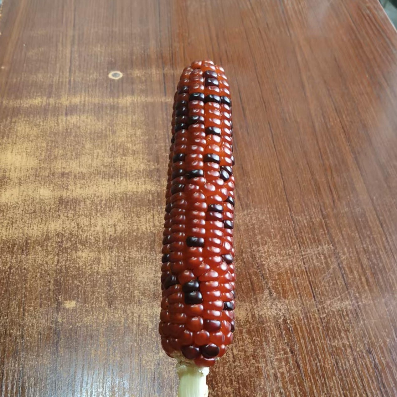 文玩玉米摆件手把件